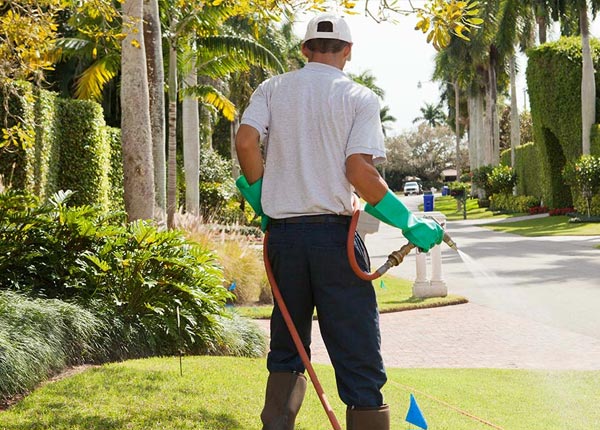 About Deer Island OR Pest Control Pros